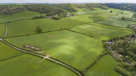 DJI_0091.JPG