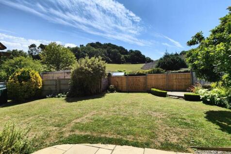 New garden.jpg