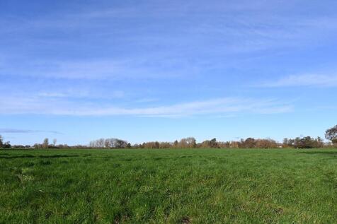 DSC_1132.JPG
