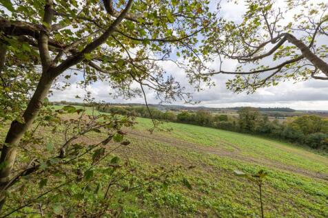 Uplands, Bawdrip (Dan&#39;s additional pics)-13.jpg