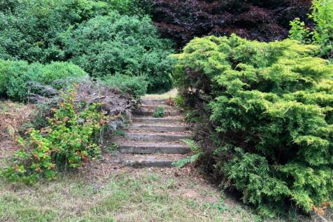 New garden 2.jpg
