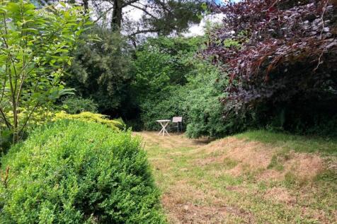 New garden.jpg