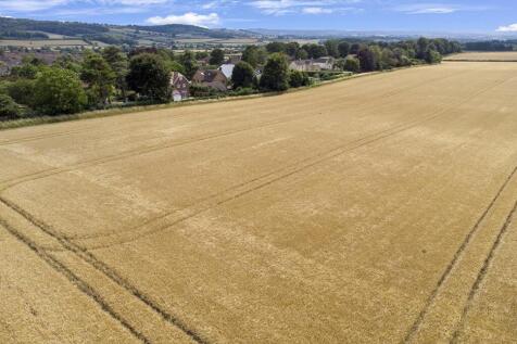 DJI_0427.jpg
