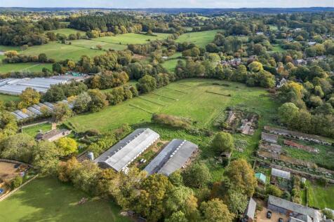 Back Cover Image.jpg