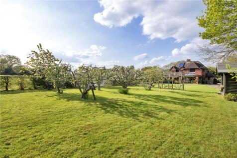 Orchard