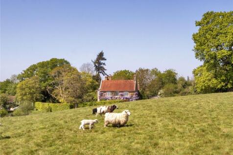 Sheep View