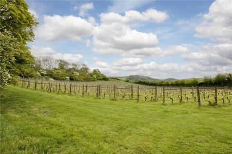 Lot 3 - Vineyards