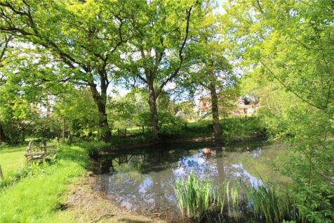 Pond