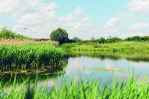 Ecology Park.jpg