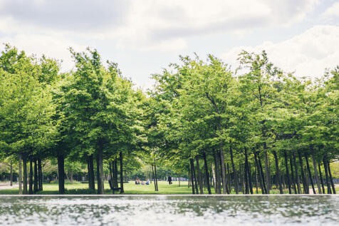 Central Park