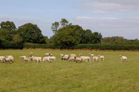 Wiggerland-48A.jpg