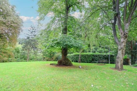IMG_2185 copy.jpg