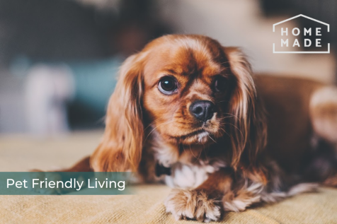 b24f2ed8f23eaa5e05adb308e79b