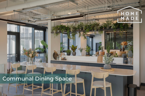 6d59209e47fad4529195ff7a55e5