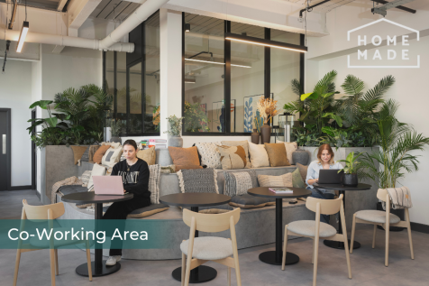 e58cd600017fa54e67ba79381636