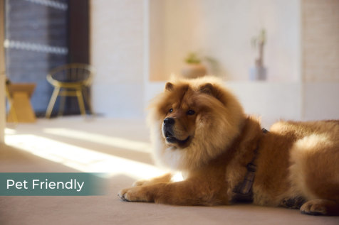 7740ce5cc3071ecffb7f3ffbd98d