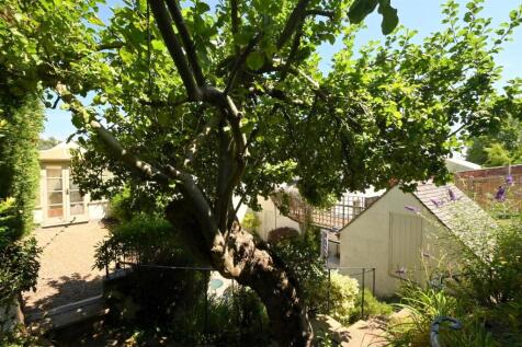 Property Image 39