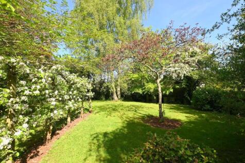Property Image 36