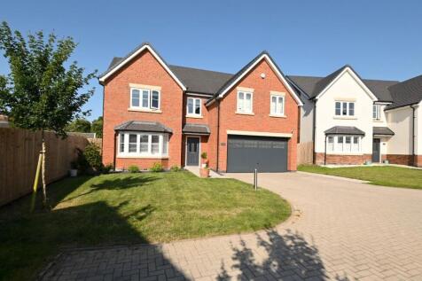 Property Image 33