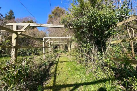 Cottage Garden
