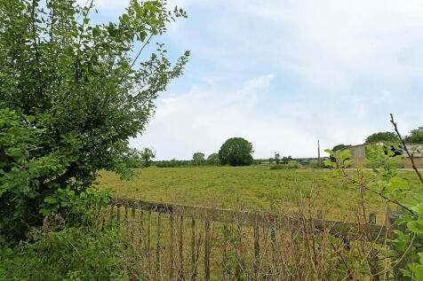 IMG_8316_DxO_EDIT...