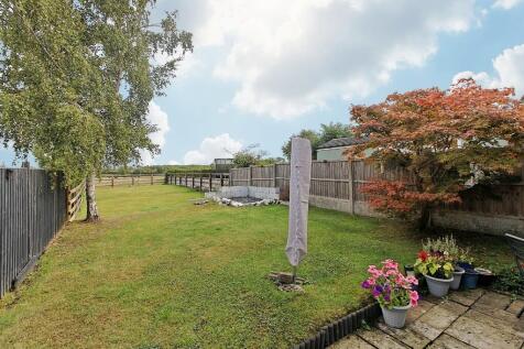 IMG_2085_DxO_EDIT