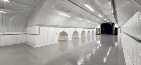 20250611_1456230  Edited.jpg