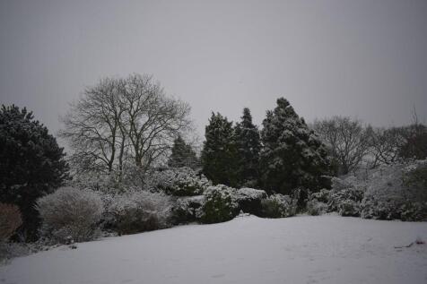 DSC_0172 (1).JPG