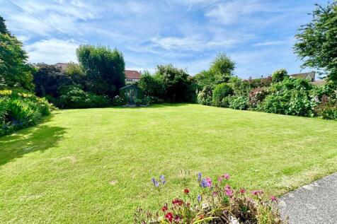 PHOTO-2025-06-20-06-49-46 (4).jpg