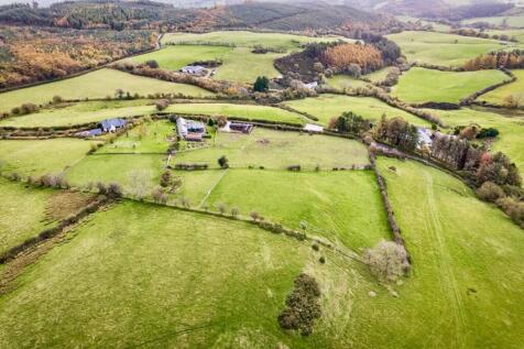 PHOTO-2025-11-06-09-07-28 (18).jpg