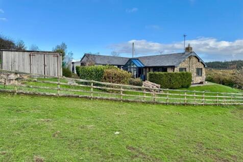 PHOTO-2025-11-06-09-07-28 (3).jpg