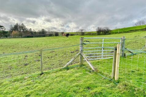 PHOTO-2025-11-06-09-07-28 (4).jpg