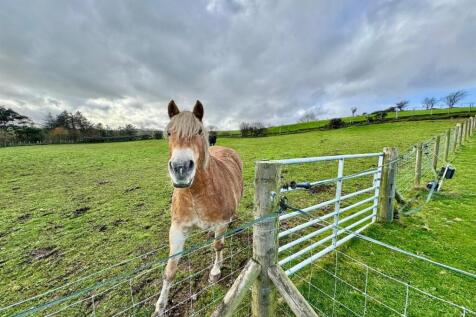 PHOTO-2025-11-06-09-07-28 (7).jpg