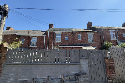 IMG 7722 T202505131431.jpg