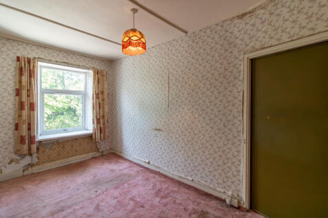 IMG 6850 T202506201328.jpg
