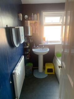 IMG 5163 T202507011427.jpg
