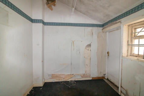IMG 8656 T202509051459.jpg