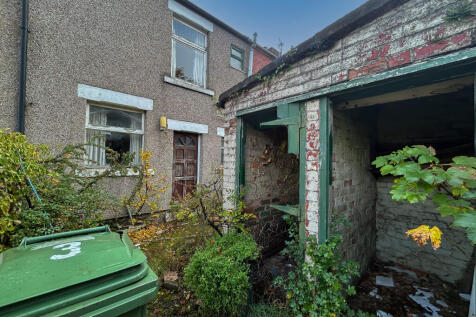 IMG 7106 T202510210955.jpg