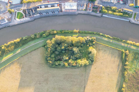 Dog Island 7 T202509191619.jpg