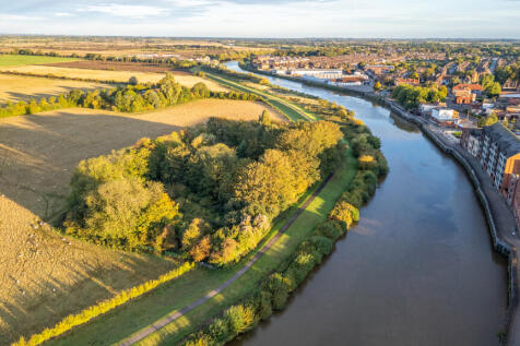 Dog Island 6 T202509191619.jpg