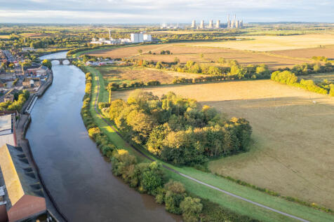 Dog Island 2 T202509191619.jpg