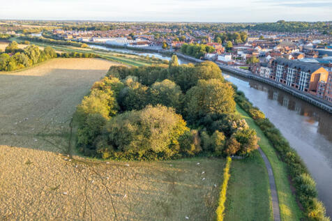 Dog Island 5 T202509191619.jpg