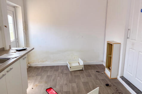 IMG 4350 T202507171629.jpg