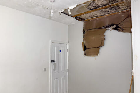 IMG 4108 T202507171629.jpg