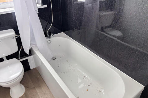 IMG 4104 T202507171629.jpg