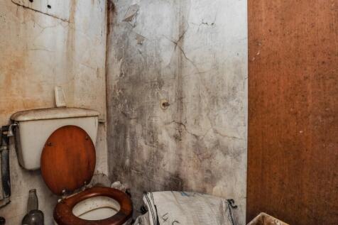 20251030054735 130A0960 ZjFhR T202510301027.jpg