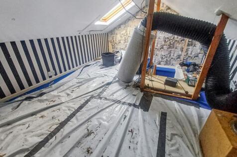 20251030045006 20251029 110825 8YLN5 T202510300954.jpg