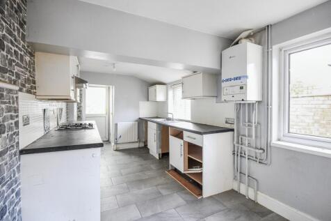 20251103101345 IMG 4238 D205s T202511031253.jpg