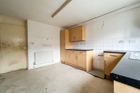 IMG 7290 T202511061258.jpg