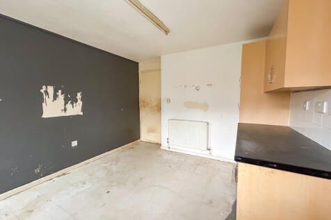 IMG 7291 T202511061258.jpg